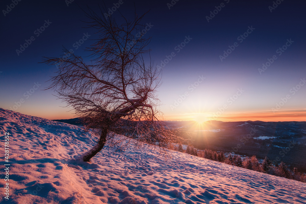 Ochodzita - Beskidy
