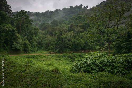 A road in Bwindi Impenetrable Forest, Uganda, Africa