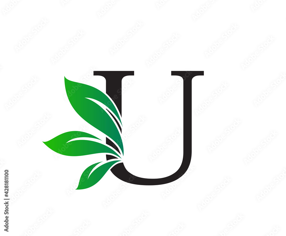 Letter U Logo with Green Leaves, Nature Logo or Icon Design Template. Letter U Logo with Green Leaves, Nature Logo or Icon Design Template.