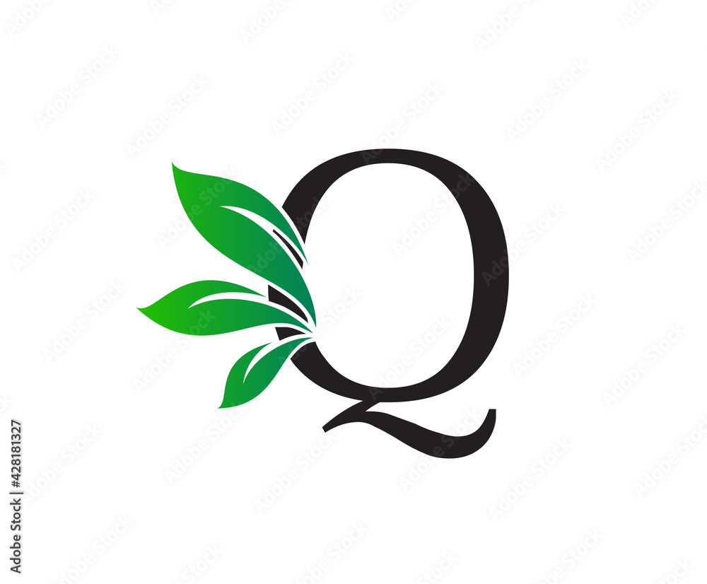Letter Q Logo with Green Leaves, Nature Logo or Icon Design Template. Letter Q Logo with Green Leaves, Nature Logo or Icon Design Template.