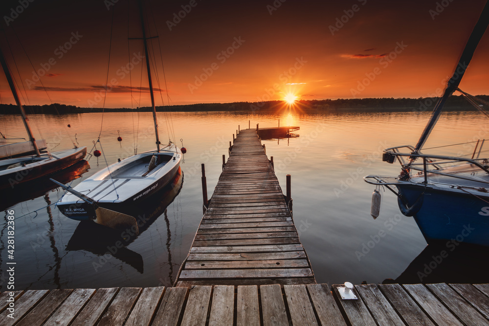 Fototapeta premium Paprocany - Tychy