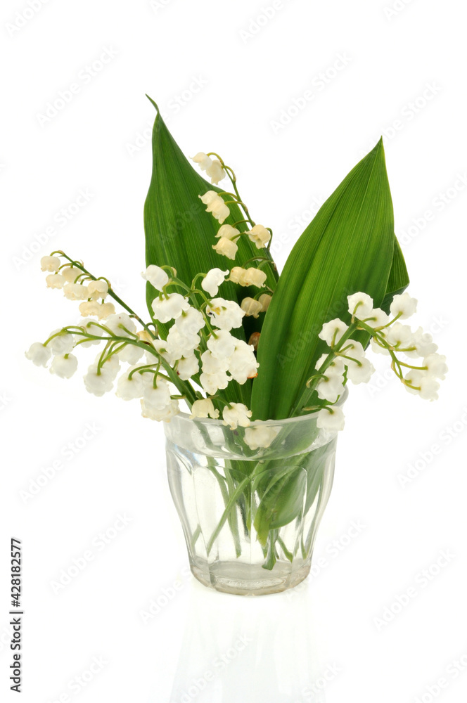 Obraz premium Brin de muguet dans un verre en gros plan sur fond blanc