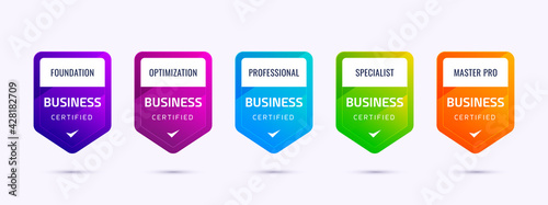 Set of business company training badge certification to determine based on colorful criteria. Vector illustration certified logo premium design.