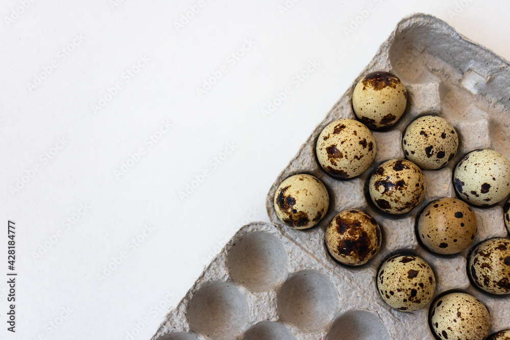 quail eggs quail eggs