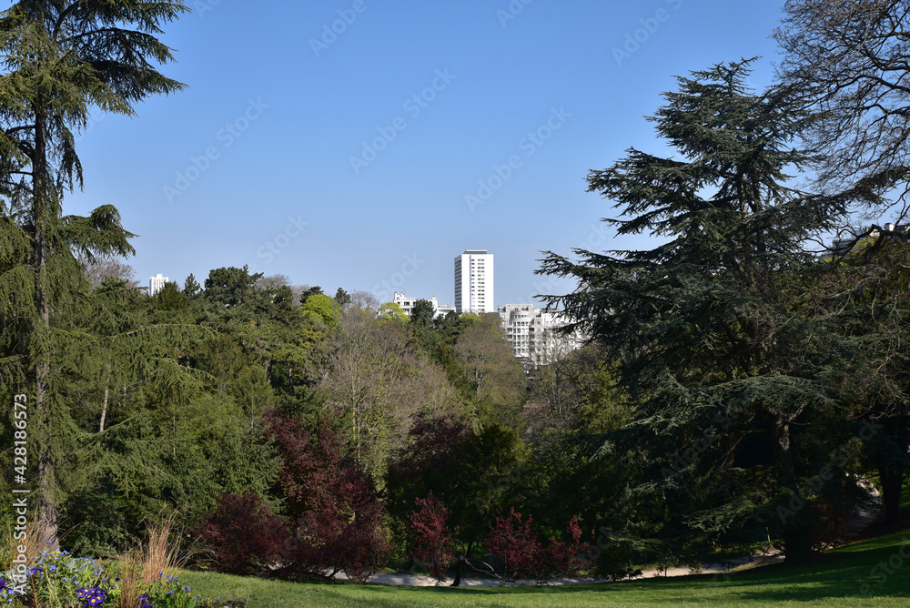 Grands arbres du parc des Buttes-Chaumont à Paris, France Grands arbres du parc des Buttes-Chaumont à Paris, France