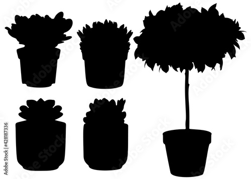 Potted flowers and home tree in the set.