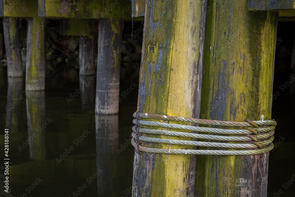 Close-up detail of decay, texture and green algae on nautical wood pilings underneath a seaside pier or dock. Close-up detail of decay, texture and green algae on nautical wood pilings underneath a seaside pier or dock.