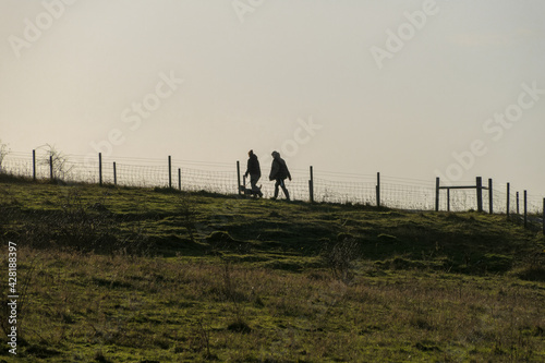 Silhouette of couple walking dog in country park
