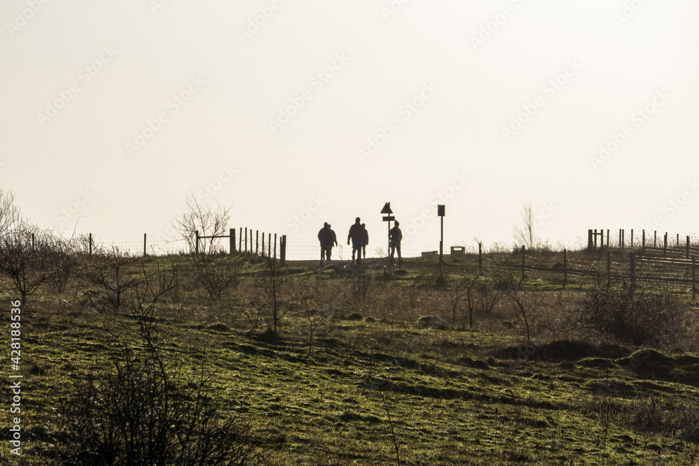 Silhouette of  people walking in country park on cold day