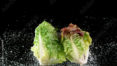 Fresh lettuce falling on bl...