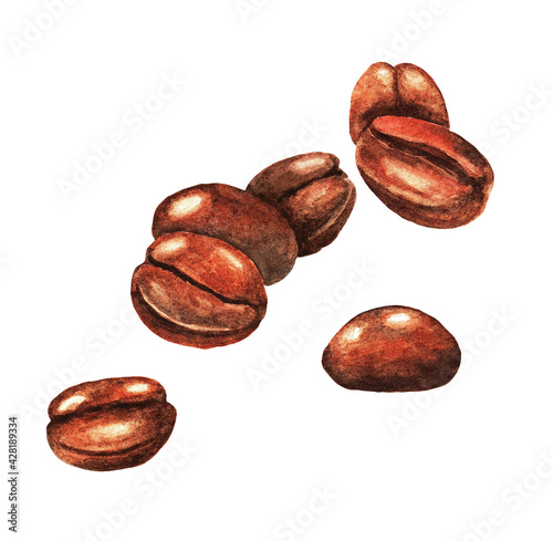 Coffee beans, watercolor 1.3