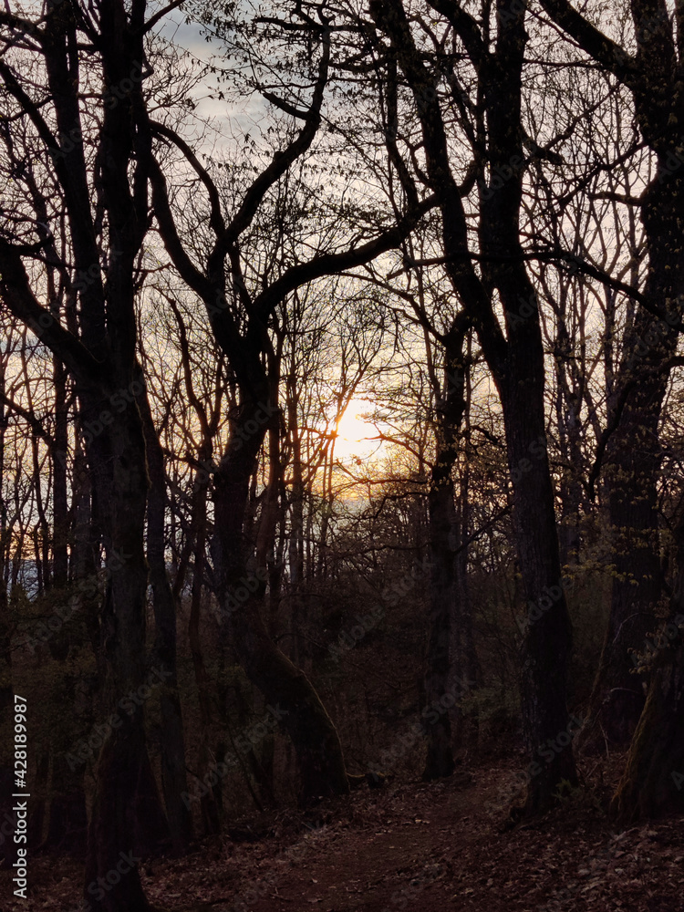 Romantischer Sonnenuntergang im Taunus erzeugt ein Gefühl der Melancholie und Traurigkeit, aber auch Schönheit Romantischer Sonnenuntergang im Taunus erzeugt ein Gefühl der Melancholie und Traurigkeit, aber auch Schönheit