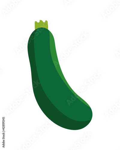 cucumber green vegetable