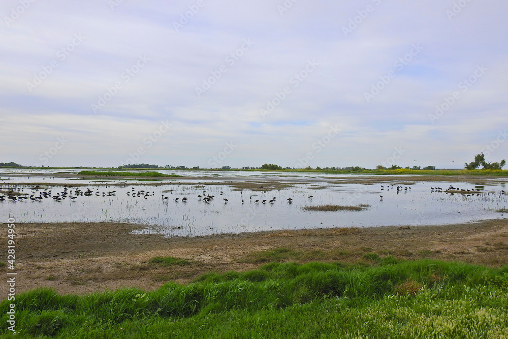 The beautiful scenery of the Merced National Wildlife Refuge, in the northern San Joaquin Valley, California.