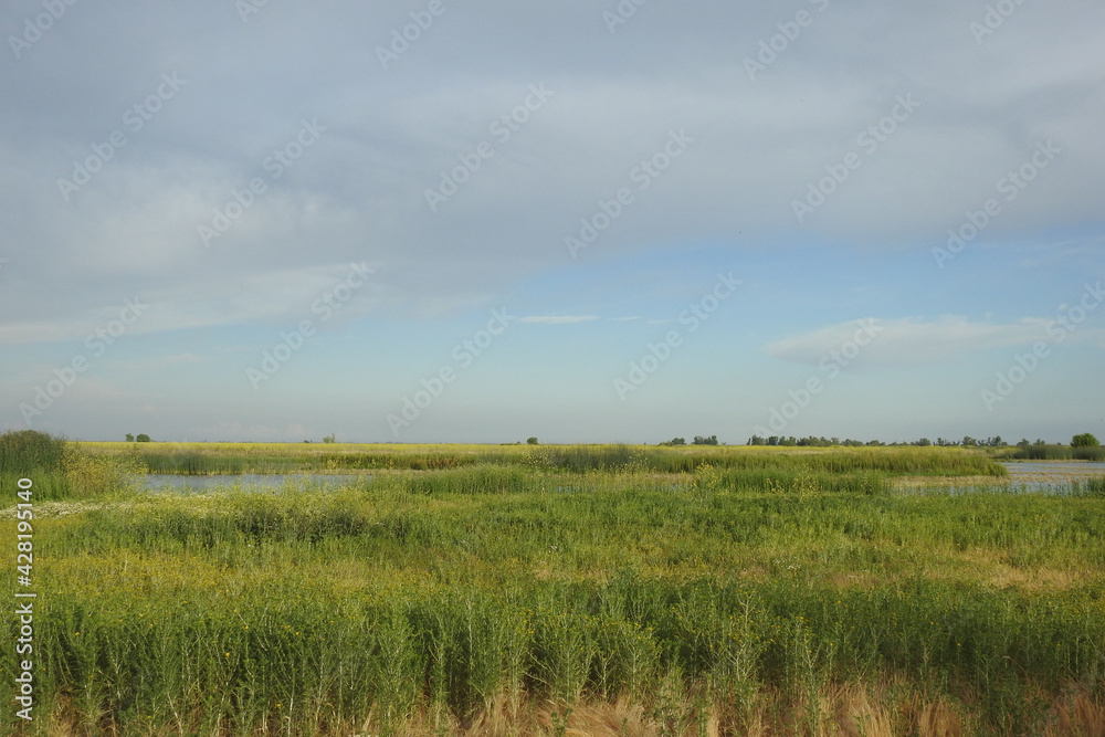 The beautiful scenery of the Merced National Wildlife Refuge, in the northern San Joaquin Valley, California.