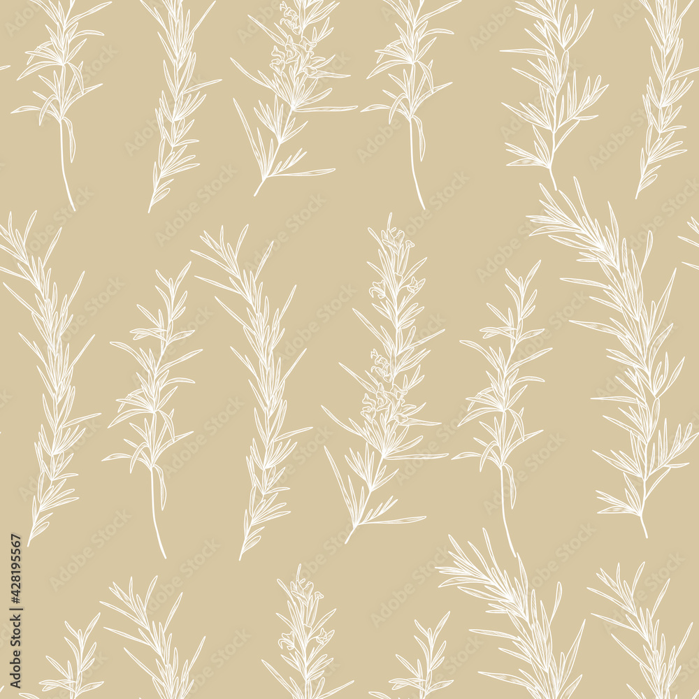 Seamless hand drawn pattern with rosematy plant Seamless hand drawn pattern with rosematy plant