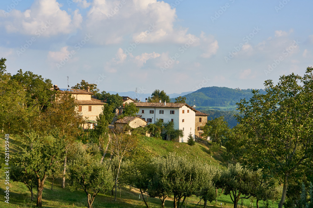 Countryside, summer landscape near Modena, Emilia-Romagna, Italy.