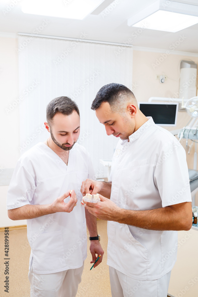 Fototapeta premium Dentists doctors stand in the office, clinic with a chair, tools. Dentist workplace. Orthodontists hold in their hands and examine the cast of the jaw. Dentistry concept.