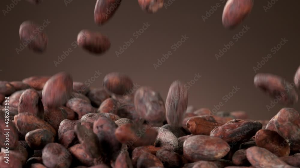 Super slow motion of falling group of roasted cocoa beans pieces. Filmed on high speed cinema camera, 1000fps. Super slow motion of falling group of roasted cocoa beans pieces. Filmed on high speed cinema camera, 1000fps.