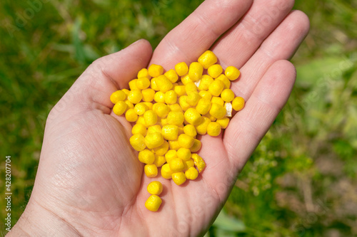 Yellow granules in the hand of a fisherman. Artificial bait for fishing. Male Hobbies Fishing, Sport