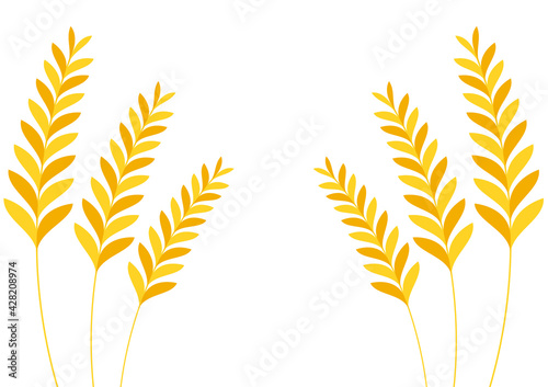 Wheat pattern wallpaper. oat symbol. free space for text. rice sign. Rice pattern wallpaper.