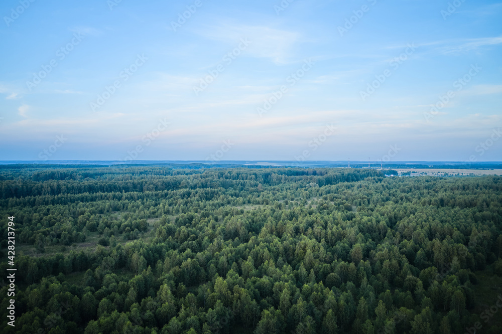 Fototapeta premium Skyline horizon and deep forest from above