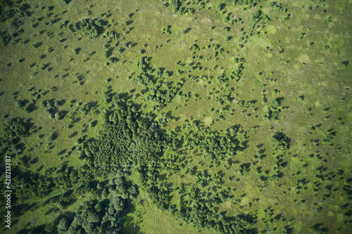 Sparse growth of trees aerial view