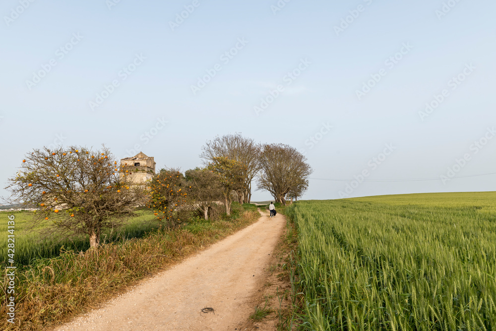 Fototapeta premium Una mujer se aleja por un camino rural