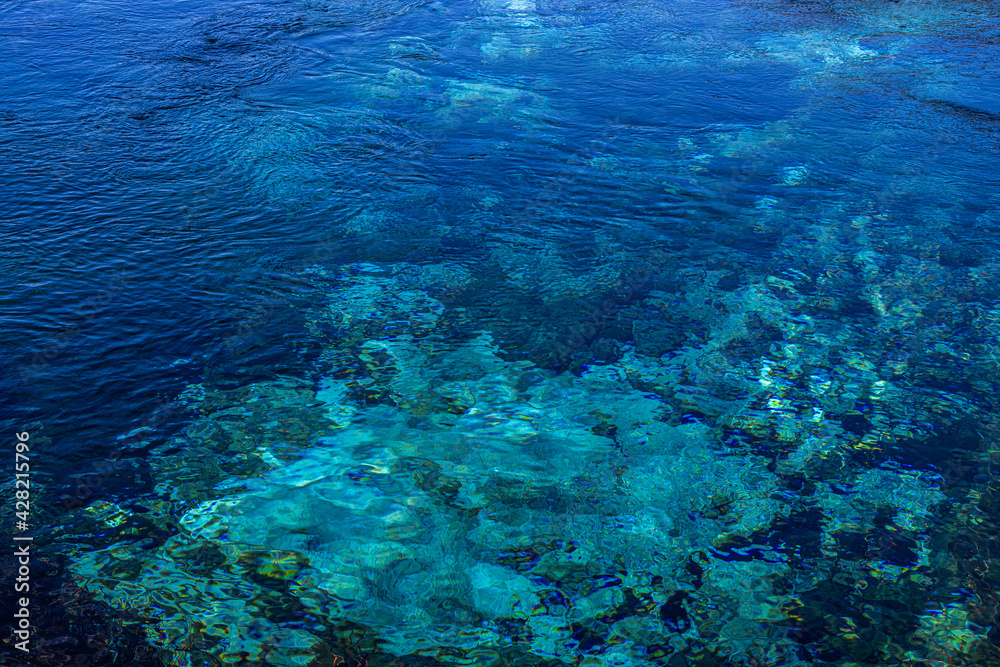 Clear waters at Te Waikoropupu Springs Clear waters at Te Waikoropupu Springs