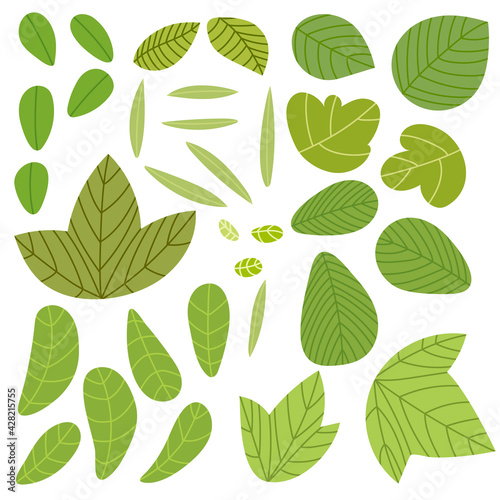 A large set of vector green leaves of various shapes. The elements are isolated on a white background.