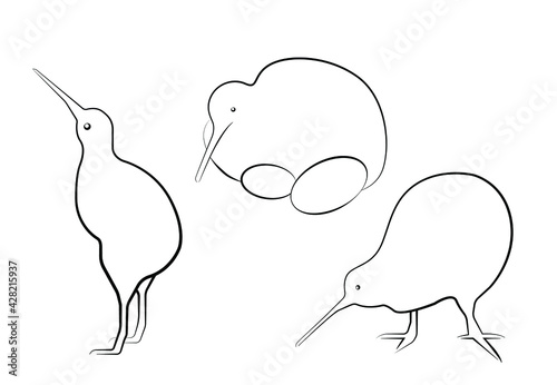 Set of flightless kiwi line art. Endemic  endangered birdie of New Zealand. The smallest ratite with long beak and brown feathers. Outline bird in three angles -standing, searching and nesting.