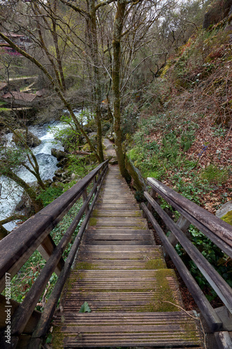 Vertical shot of wooden stairs on the Arenteiro river in a forest in Galicia, Spain photo