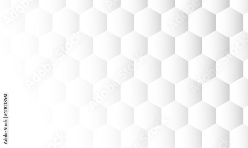 Fototapeta Naklejka Na Ścianę i Meble -  Abstract Background, hexagonal shapes, Geometric Surface, minimal grid pattern, Vector Illustration