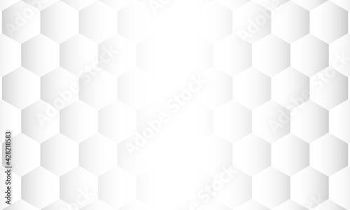 Fototapeta Naklejka Na Ścianę i Meble -  Abstract Background, hexagonal shapes, Geometric Surface, minimal grid pattern, Vector Illustration