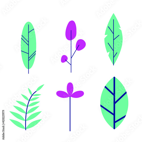 set of small twigs and leaves. Vector drawings, botany