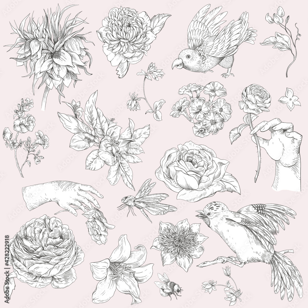 Vintage monochrome floral set of illustration with woman hand, baroqe flowers