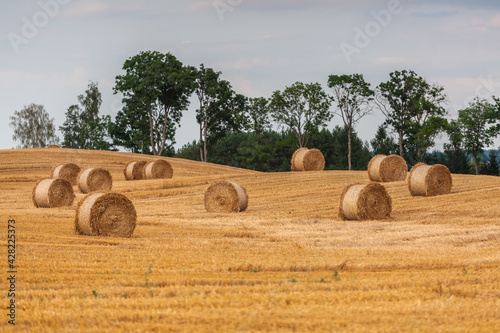 Fototapeta Naklejka Na Ścianę i Meble -  View of the Masurian fields.