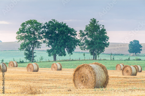 Fototapeta Naklejka Na Ścianę i Meble -  View of the Masurian fields.