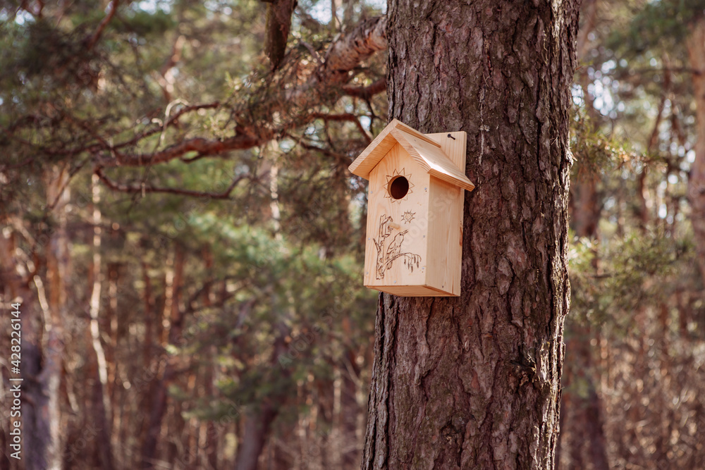 birdhouse, bird feeder, spring in the forest, nature