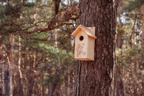 birdhouse, bird feeder, spring in the forest, nature