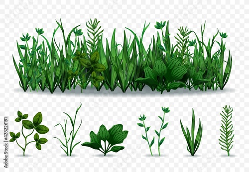 Realistic Green Grass Set photo