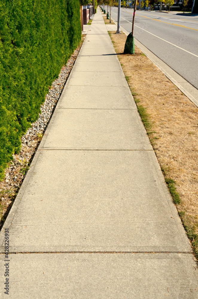 Sidewalk with a beautiful outdoor landscape and a row of trees.