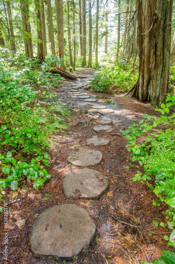 Fragment of Cape trail in Olympics park, Washington, USA Fragment of Cape trail in Olympics park, Washington, USA