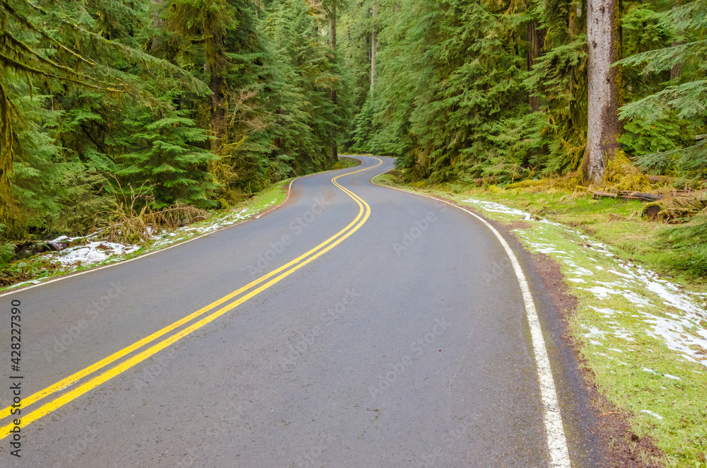 Fototapeta premium Mountain road in Fall.