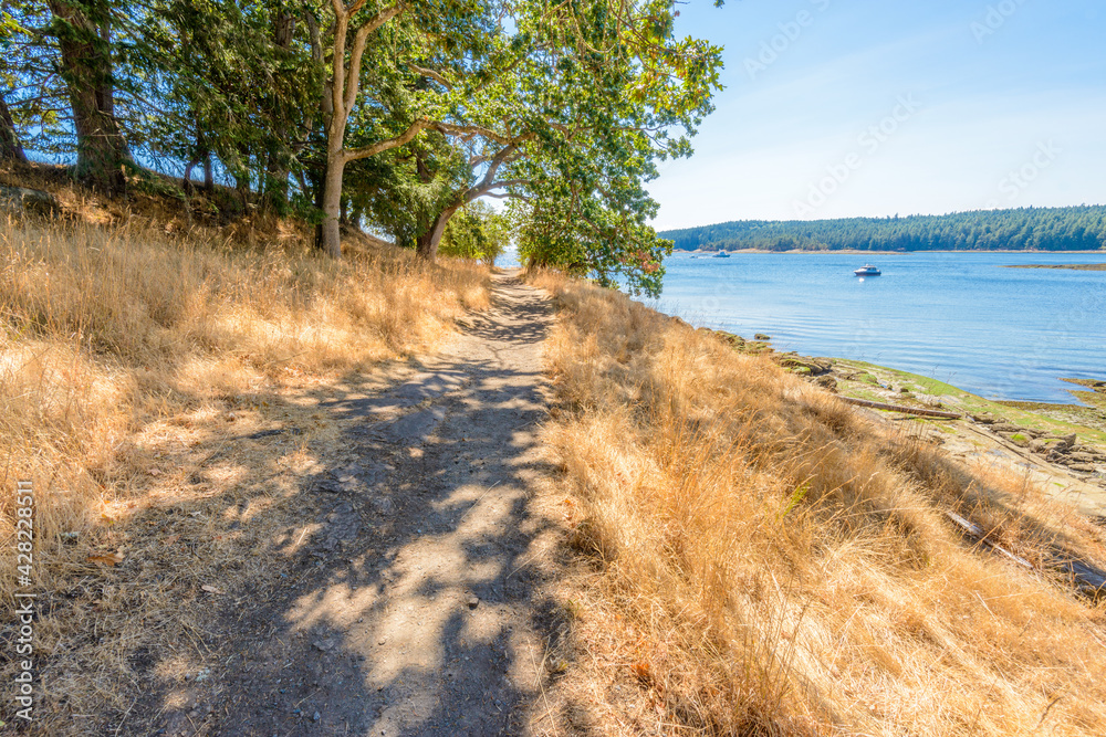Fragment of lake view trail in Drumbeg park, Nanaimo, British Columbia, Canada. Fragment of lake view trail in Drumbeg park, Nanaimo, British Columbia, Canada.