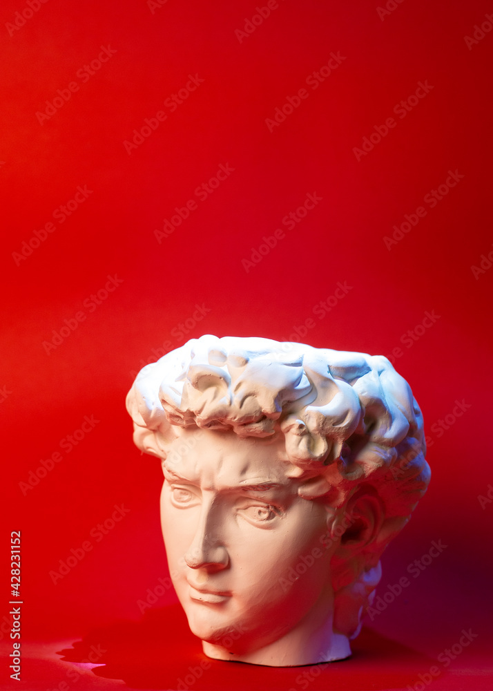 Gypsum statue of David's head. Michelangelo's David statue plaster copy