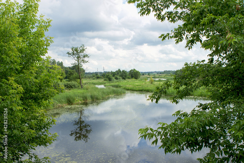 Trees and sky are reflected in the river or lake. Picturesque rural summer landscape.