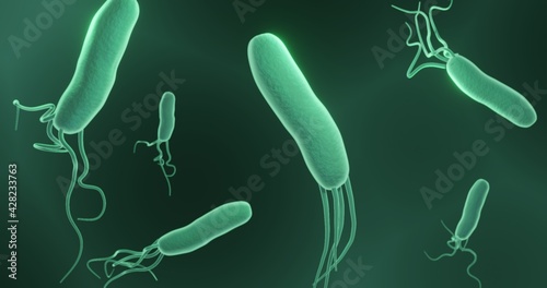 Helicobacter, ulcer cousing bacteria raising the risk of stomach cancer 3d illustration  photo