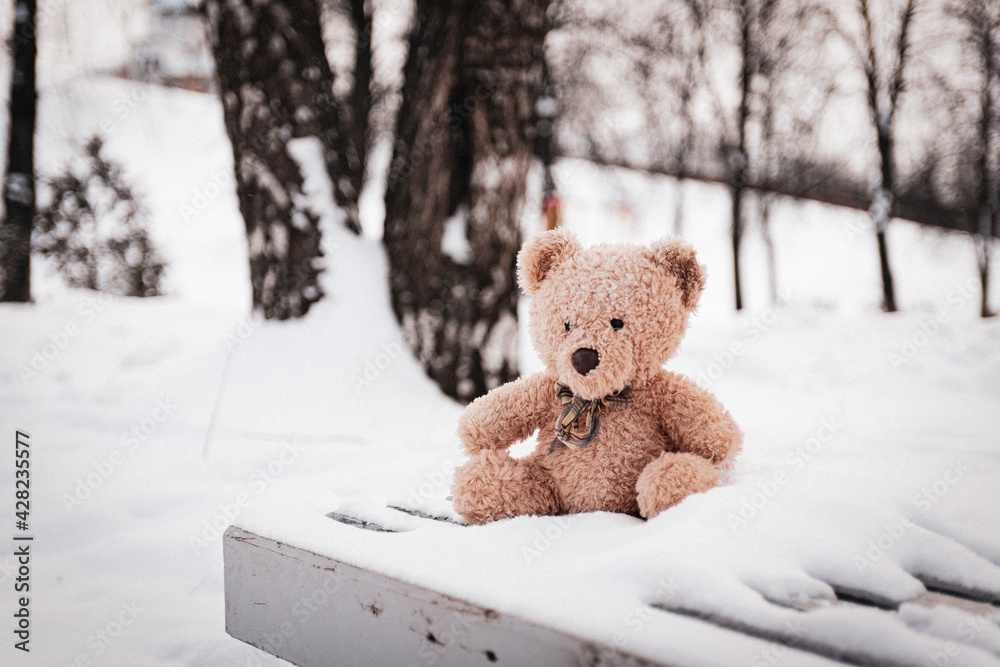 The toy bear was left in the winter at the children's playground The toy bear was left in the winter at the children's playground