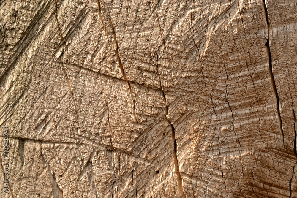 Fototapeta premium natural old wood texture background with the cracks